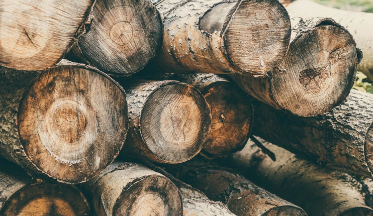 Neznámý pachatel ukradl nařezané dřevo za třicet tisíc