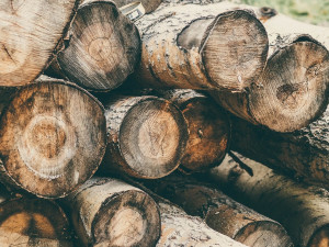 Neznámý pachatel ukradl nařezané dřevo za třicet tisíc