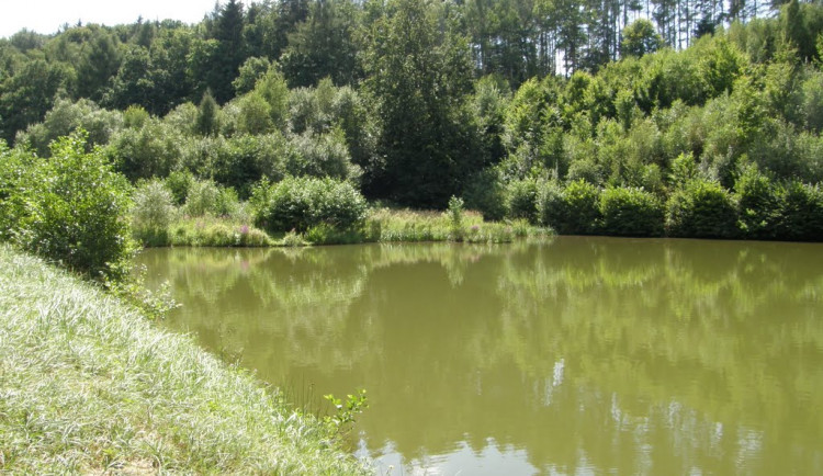 Povodí Moravy dokončuje obnovu vodní nádrže Hrabišín