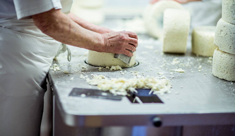 Mlékárna Otinoves obnovuje provoz.Většina zaměstnanců se vyléčila