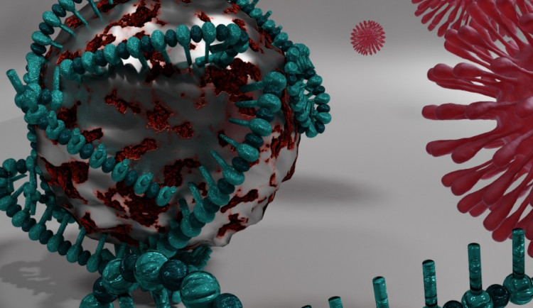 Olomoučtí vědci vyvinuli nanokuličky využitelné na testy covid-19