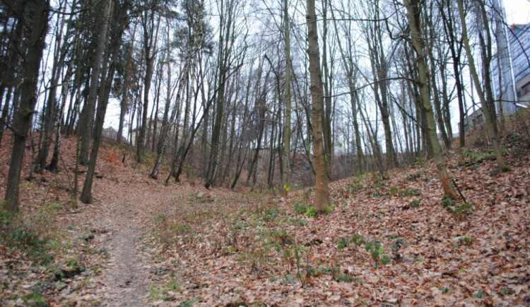 Šumperský lesopark Cihelna změní podobu. Proměna vyjde na 7 milionů