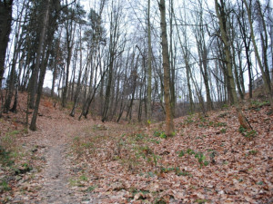 Šumperský lesopark Cihelna změní podobu. Proměna vyjde na 7 milionů