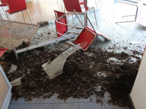 FOTO: Řidič Fordu na dálnici zazmatkoval a zastavil až nárazem do čerpací stanice