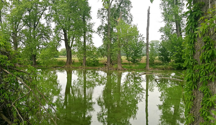Plánovaná čtvrtá protipovodňová etapa přinese rekreační místa na jihu Olomouce
