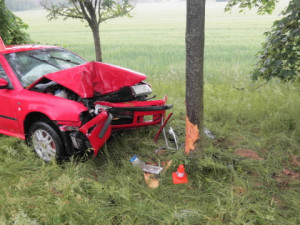 Řidiči do cesty vběhla srna. Na mokré silnici dostal smyk a čelně narazil do stromu