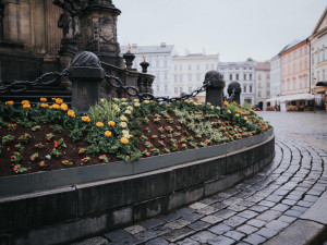 FOTO: Na olomouckém Horním náměstí vykvetl Sloup Nejsvětější Trojice. Jak se vám líbí?