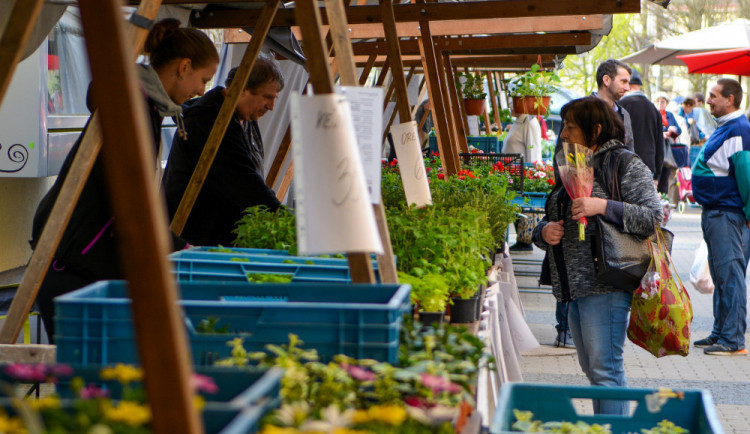 V ČR se v pondělí uvolnila další opatření. Na hromadné akce, včetně sportovních, může přijít až 2500 lidí