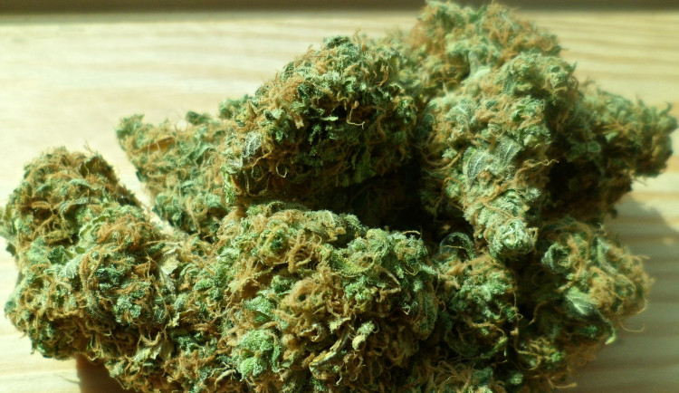 Celníci našli při kontrole osobního auta 57 gramů marihuany. Řidiči hrozí rok vězení