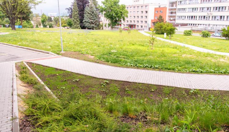 Olomoucká fakultní nemocnice vybudovala chodníky za čtyři miliony korun