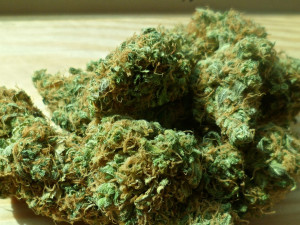 Celníci našli při kontrole osobního auta 57 gramů marihuany. Řidiči hrozí rok vězení