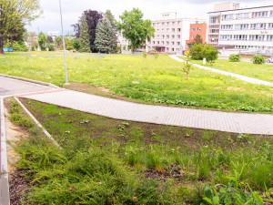 Olomoucká fakultní nemocnice vybudovala chodníky za čtyři miliony korun