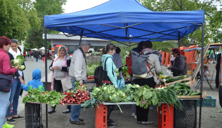 Selské trhy ve Smetanových sadech sklidily úspěch. Uskuteční se také o prázdninách