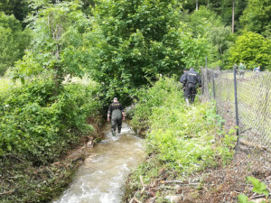 Policie našla tělo doposud nezvěstné seniorky. Pohřešovala se přes dva týdny