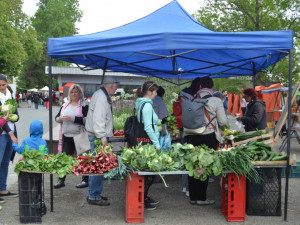 Selské trhy ve Smetanových sadech sklidily úspěch. Uskuteční se také o prázdninách