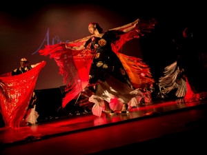 Na konci července roztančí město už dvanáctý ročník mezinárodního festivalu Colores Olomouc