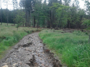 Déšť poškodil lesní cesty na Jesenicku. Opravy budou stát stovky tisíc korun