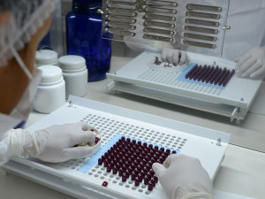 Student z Olomouce pracuje na vývoji antibiotik s antibakteriálními vlastnostmi