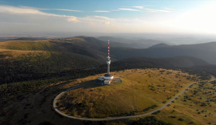 Horské louky na úbočí Pradědu spásá dobytek. Pomáhá udržet bezlesí