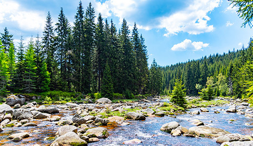 Plánujete letošní dovolenou v Česku? Přinášíme rady a tipy, na co si při výběru dát pozor