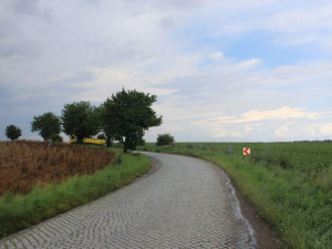 FOTO: Řidič s náklaďákem havaroval do stromu. Škoda je vyčíslena na 100 tisíc korun