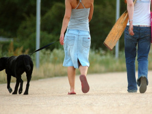 Olomouc vydala novou vyhlášku pro pohyb se psy, nově mohou na veřejnost pouze na vodítku nebo s náhubkem