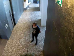 VIDEO: Policie se obrací na veřejnost s prosbou o pomoc při vyšetřování krádeže