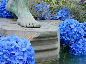 FOTO: Po Sloupu Nejsvětější Trojice vykvetla i vedlejší Arionova kašna. Tentokrát bílými a modrými květy
