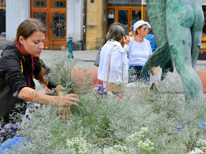 FOTO: Po Sloupu Nejsvětější Trojice vykvetla i vedlejší Arionova kašna. Tentokrát bílými a modrými květy