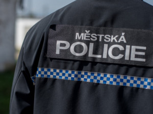 Přerovští strážníci dopadli zvrhlíka. Na místo je zavolala kolemjdoucí žena