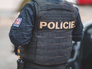 Vloupal se do řeznictví, kde našel jen mince. Sekáčkem na maso si prorazil cestu dál