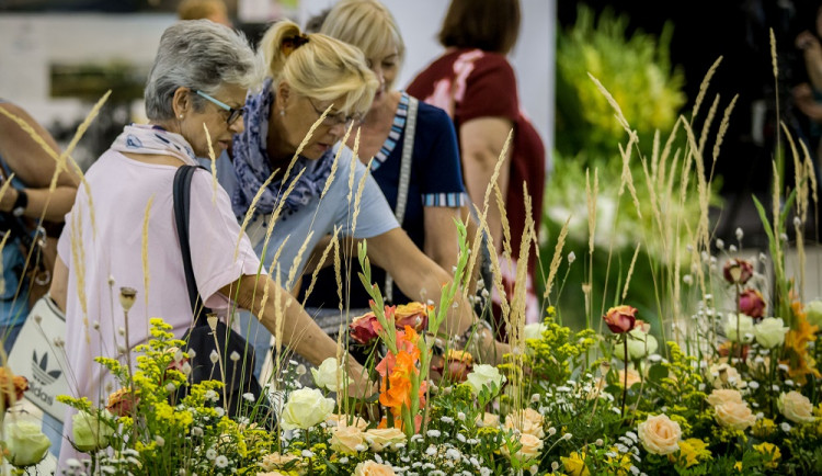 Letos jediná květinová výstava tohoto rozsahu v ČR láká na Zahradu za zdí