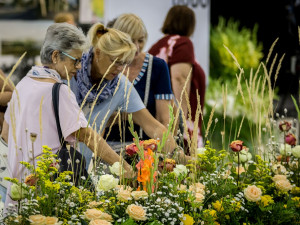 Letos jediná květinová výstava tohoto rozsahu v ČR láká na Zahradu za zdí