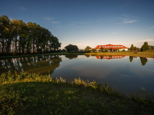 Romantický rybník a výhled na pasoucí se koně. Takový je olomoucký Park Hotel Prachárna