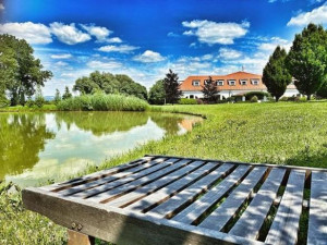 Romantický rybník a výhled na pasoucí se koně. Takový je olomoucký Park Hotel Prachárna