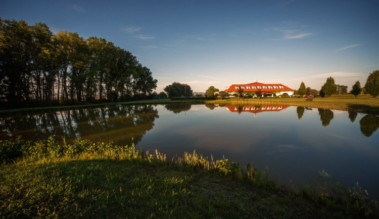 Romantický rybník a výhled na pasoucí se koně. Takový je olomoucký Park Hotel Prachárna
