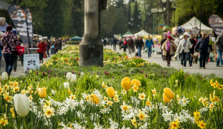 V Olomouci začíná za přísných hygienických opatření letní Flora. Kapacitu pavilonů budou hlídat kamery