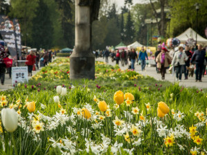 V Olomouci začíná za přísných hygienických opatření letní Flora. Kapacitu pavilonů budou hlídat kamery