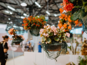 Foto: Letní Flora Olomouc přilákala během čtyř dnů 15 tisíc návštěvníků