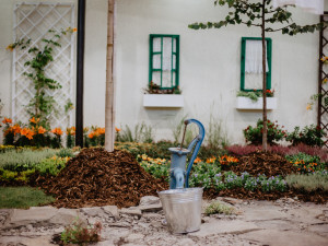 Foto: Letní Flora Olomouc přilákala během čtyř dnů 15 tisíc návštěvníků