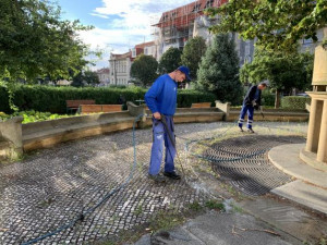 Místo chemie horká voda, Prostějov jde na likvidaci plevele ekologicky