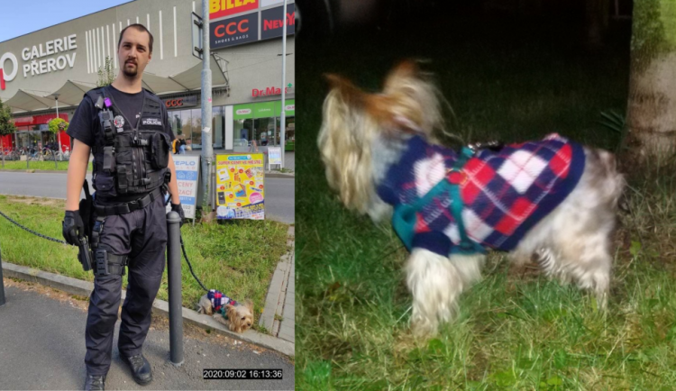 Jorkšír ve svetru zaměstnal hned tři hlídky. Strážnici ho odchytili až po 17 hodinách