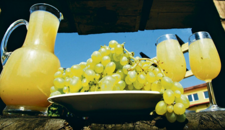 Burčáková sezona je v plném proudu. Víte, jak poznat kvalitní nápoj?