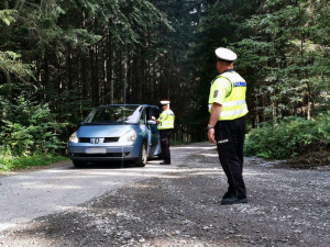 Policisté pokutovali neukázněné řidiče. Společně s lesníky odhalili třináct přestupků