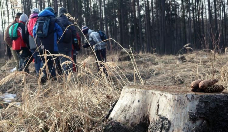 Den s lesní pedagogikou pořádají příští týden na Svatém Kopečku Arcibiskupské lesy