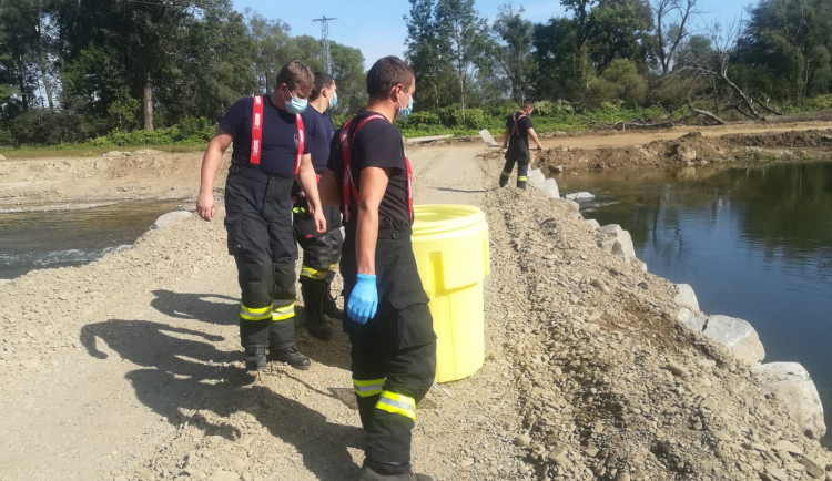 Odlov uhynulých ryb a sběr vzorků z řeky Bečvy pokračuje. Čeká se na výsledky z laboratoře