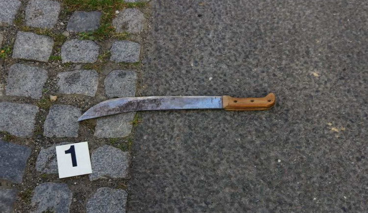 Muž vytáhl na policistu mačetu a vyhrožoval zabitím. Zastavila ho až namířená zbraň