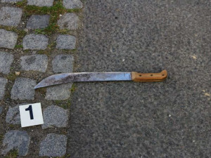 Muž vytáhl na policistu mačetu a vyhrožoval zabitím. Zastavila ho až namířená zbraň