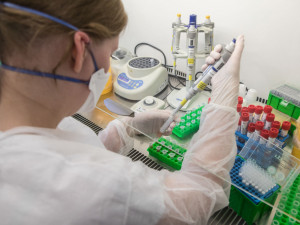 V Česku přibylo 1305 nakažených. Jde o největší nedělní nárůst