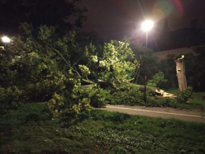 Spadlý strom bránil cyklistům v průjezdu parkem. O úklid se postarali hasiči